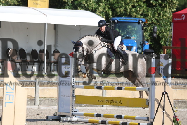 Weilheim_2023_Prfg.Nr.09_Qualifikation_PSA-Tour_Lisa Zoller Arezzo Man (11) | Alle Fotos der Reiterjournal Fotografin Doris Matthaes im Reiterjournal Online-Fotoshop. - Realisiert mit Pictrs.com