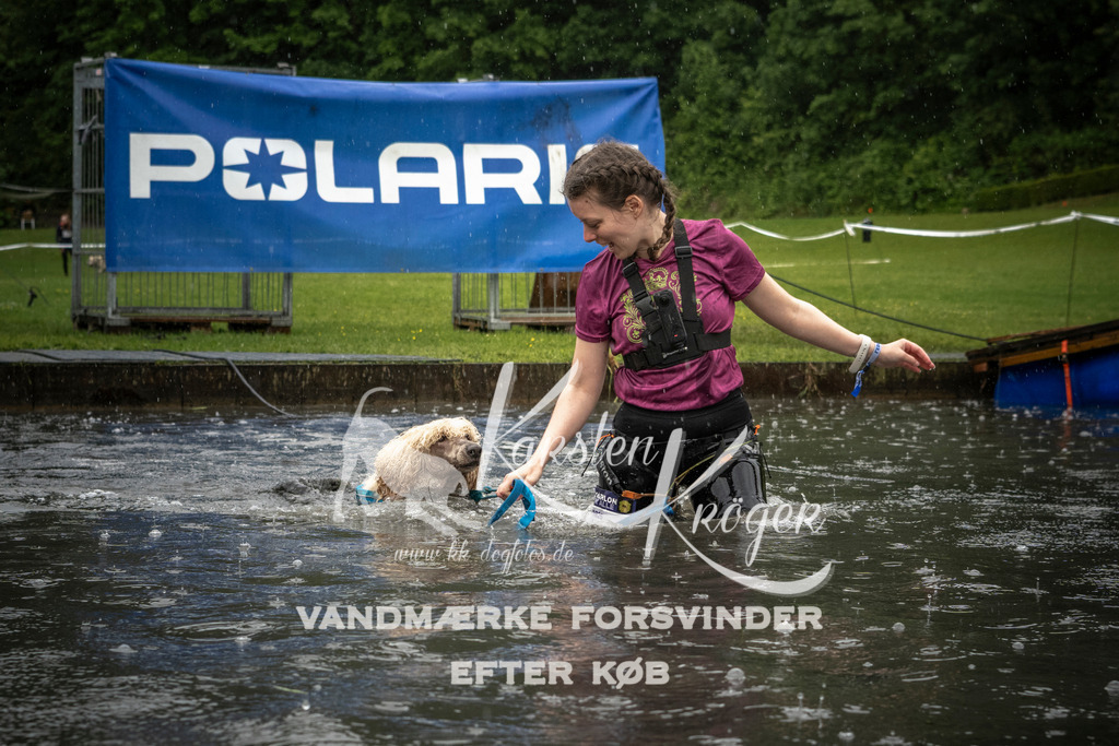 1413_ZZ99457 | kk-dogfotos