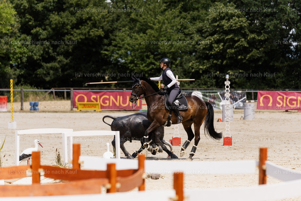 WM_SP_110_SinaFilmArt_IN07568 | working equitationturnier fotograf videograf stoibphotography marixx film working equitation deutschland reitsport turnierfotografie eventfotografie equestrian events