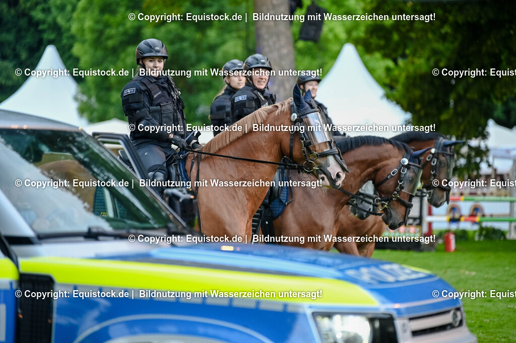 20250606_Lange-Pferdenacht_0706 | Foto: Thomas Hartig