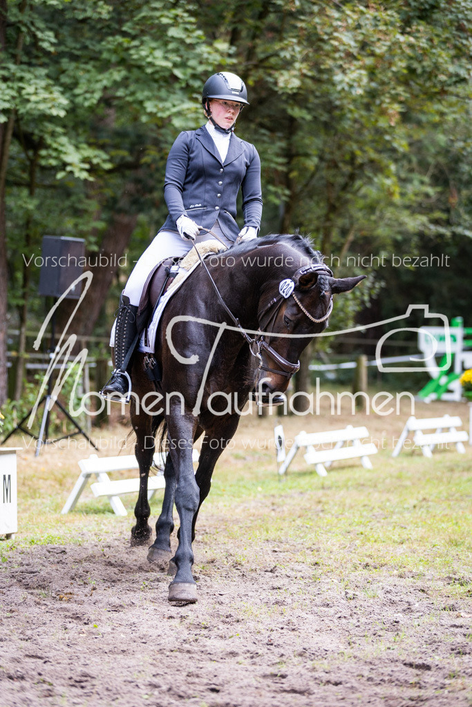 HB-Dressur-WB-012 | MomenTaufnahmen Pferdesportfotos