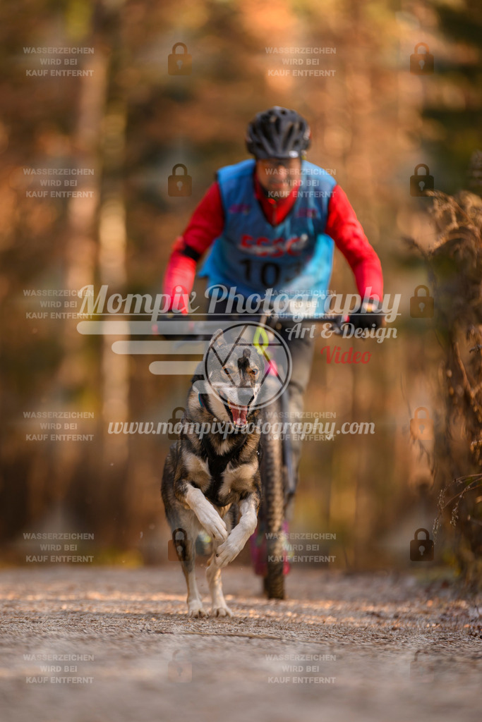 MompixPhotography_DM_AKDM_SO_2025_Scooter-213 | PayLife