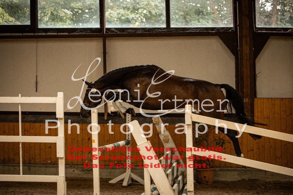 1FS_L00016 | Leoni Ertmer Photography - Realisiert mit Pictrs.com