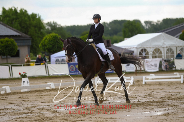 DKP40082 | Turniersportfotografie; Pferdefotografie; Dressurfotografie