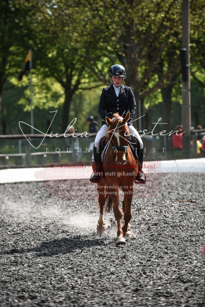 DSC_9025 | Pferde- und Turnierfotografie in Westsachsen. Pferdeportraits, Auftragszeichnungen und intuitive Kunst.
