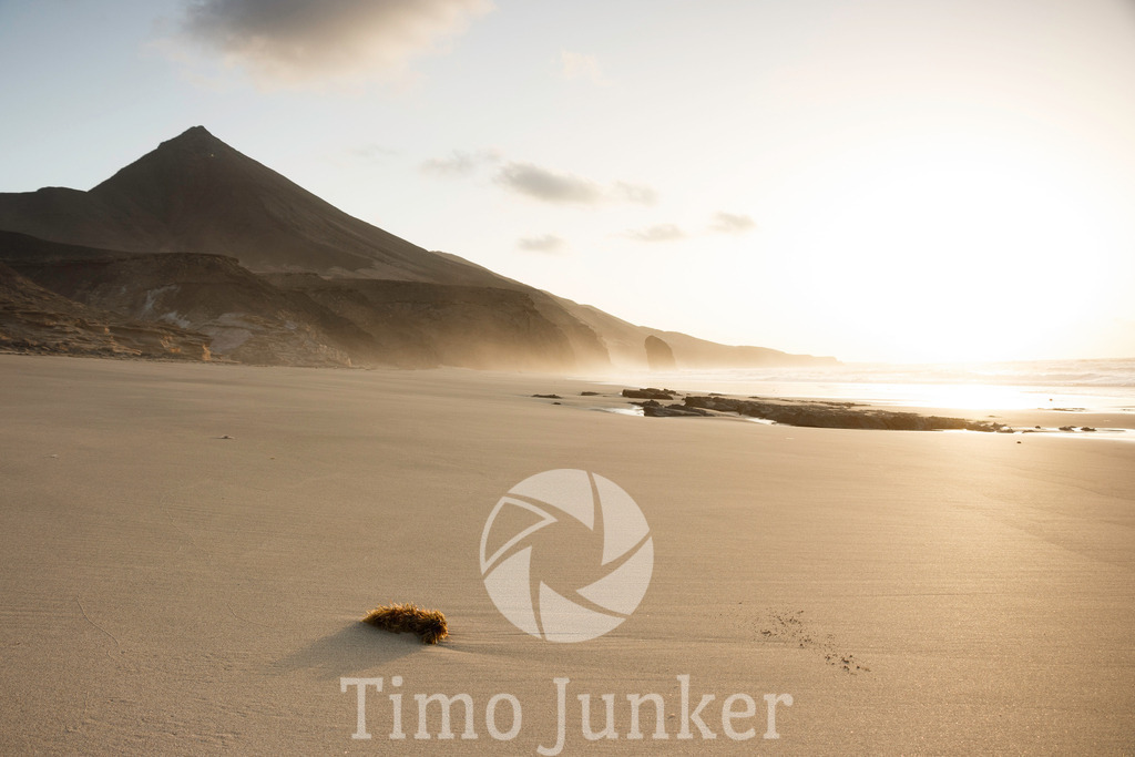 Shop_Landscapes-1788 | junker-foto - Realisiert mit Pictrs.com