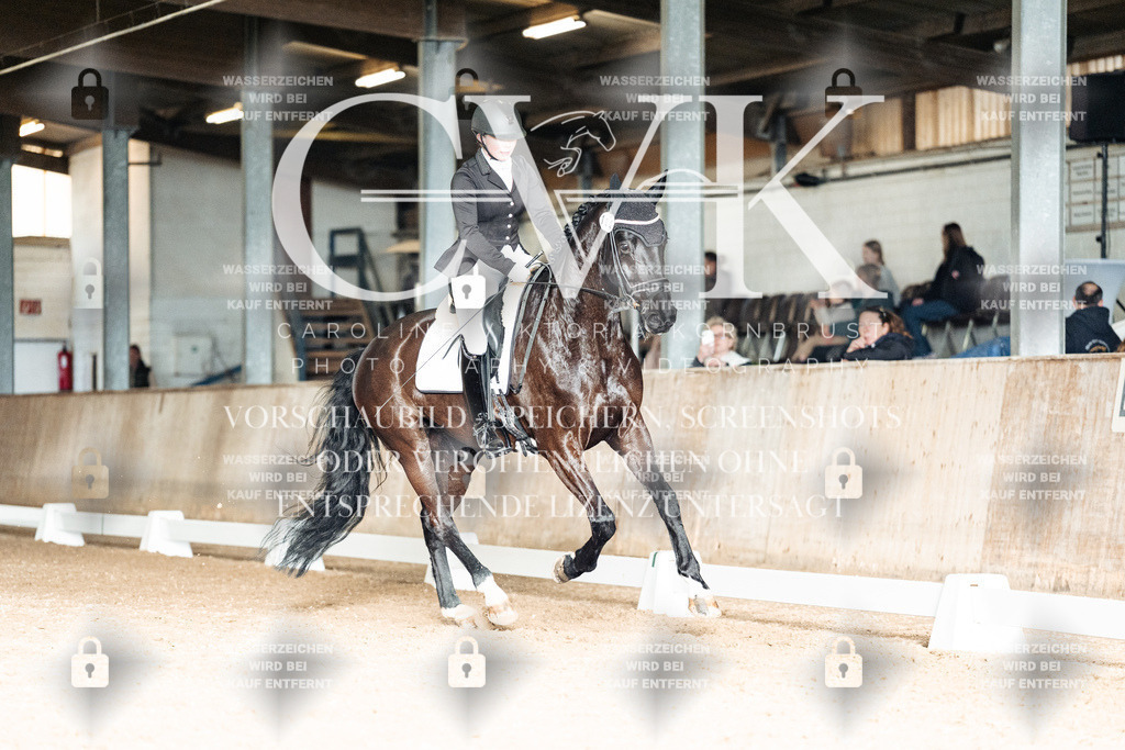 CK902872 | Turnierfotografie Pferdefotografie Trier Rheinland-Pfalz Pferdesport Reitsport Tierfotografie Sportfotografie Pferdevideo Pferdevideografie Equestrianvideography equestrianphotography  - Realisiert mit Pictrs.com