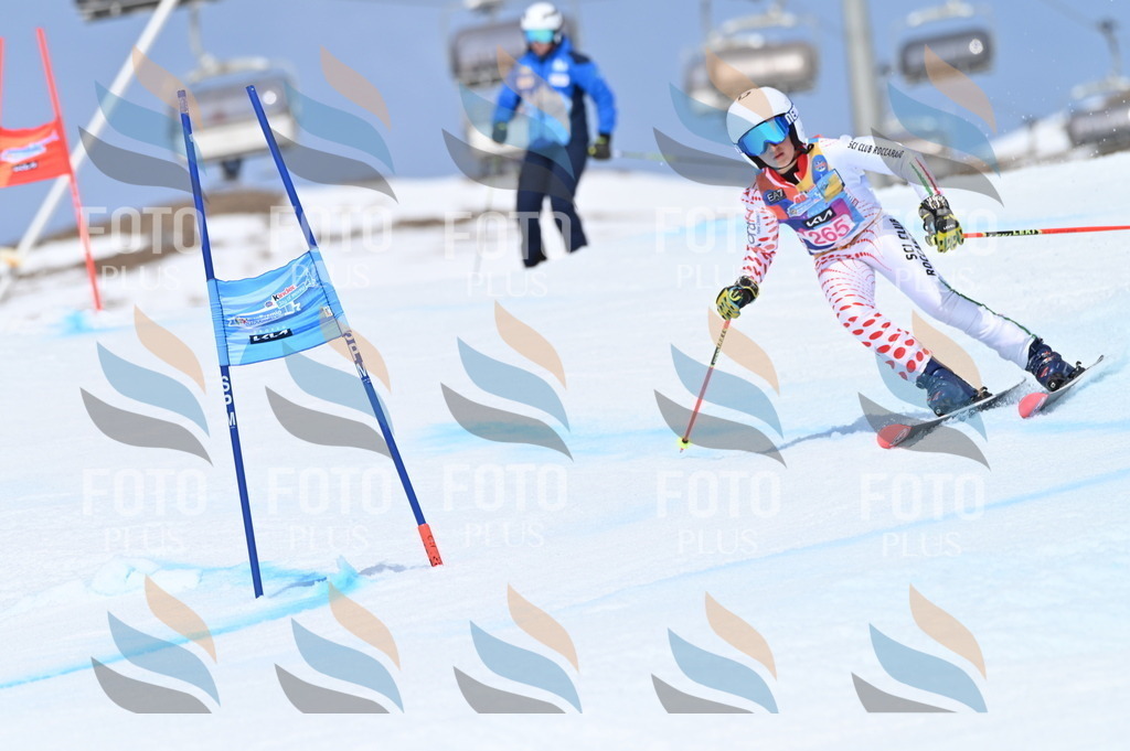 BGV_2173 | holidayphoto