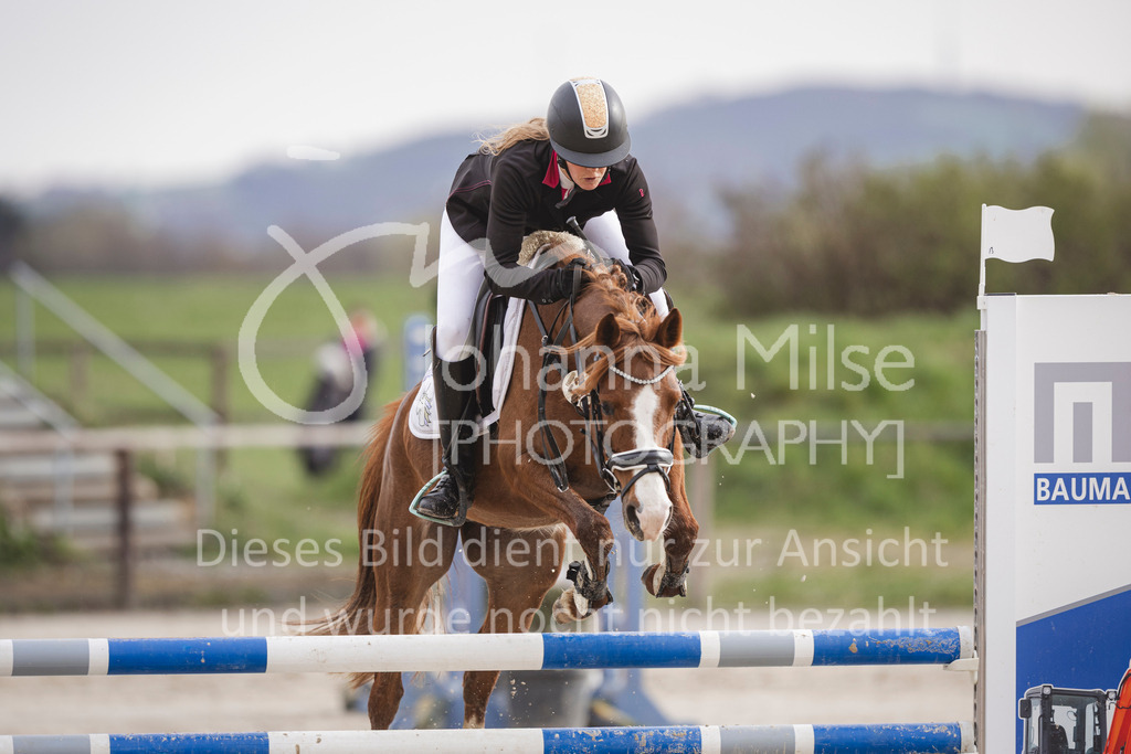 240330_Fruehlingsfest_Amateur-SprPf-A-251 | Deine schönsten Turniermomente als professionelle Fotos! Entdecke hochwertige Pferdesport-Fotografie im Online-Shop. Jetzt Fotos finden & bestellen!