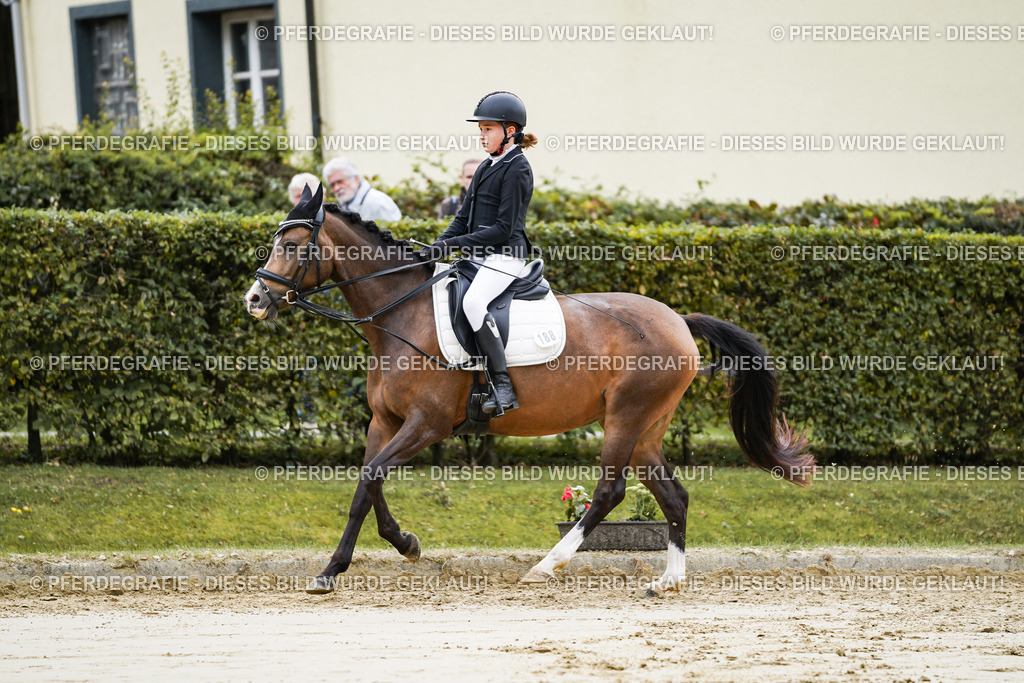 DSC04780 | Pferdegrafie