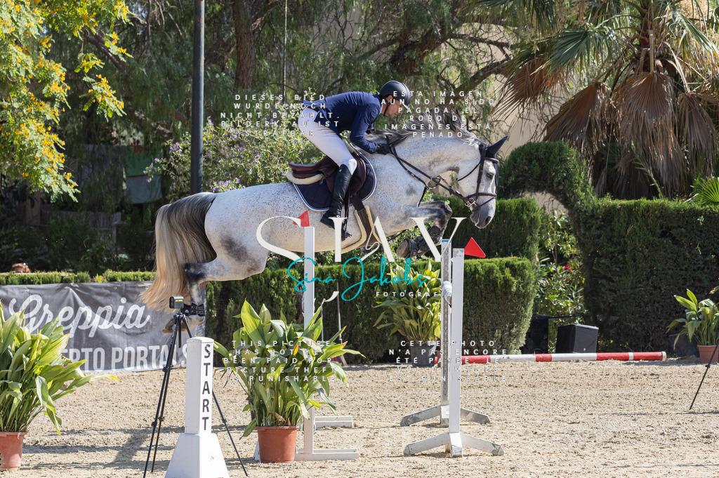 IMG_4225 | s-jay-photography - Realisiert mit Pictrs.com