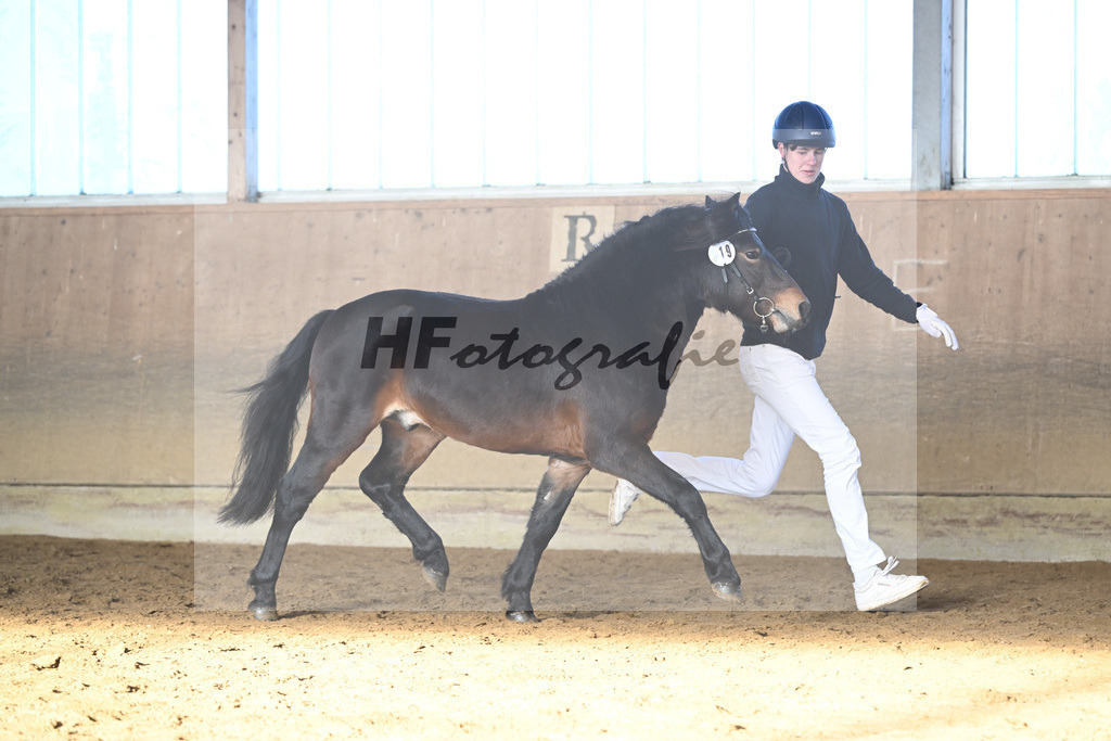 Kat-Nr. 19 Hells Hadrian v. Hells Bells_Guenthner_49250807 | hf-fotografie - Realisiert mit Pictrs.com