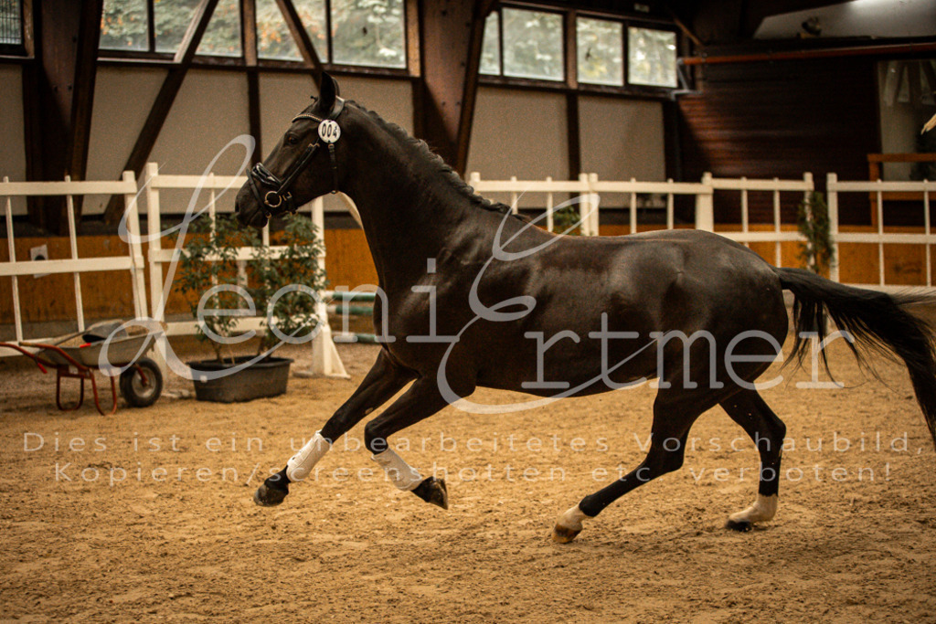 1FS_L00098 | Leoni Ertmer Photography - Realisiert mit Pictrs.com