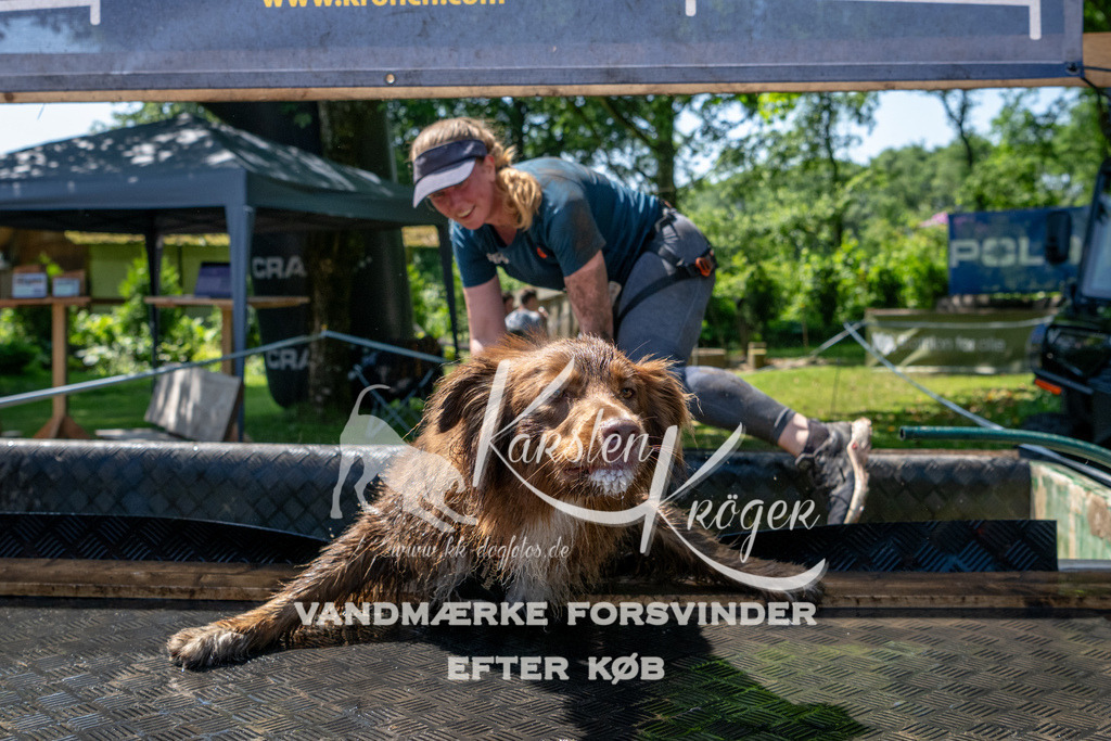 1248_ZZ92479 | kk-dogfotos