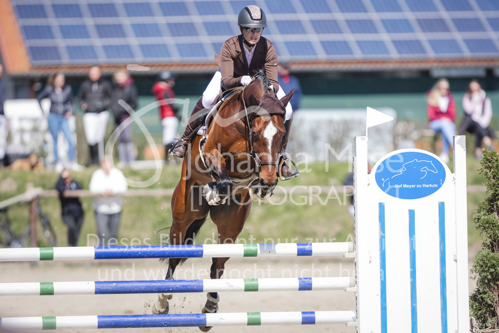 220416_3_A-Springen2-423 | Frühlingsfest der Pferde
Herford
16.April 2022
03/2 Sprigprüfung mit steigenden Anforderungen Kl. A** geschlossen 44-481 RLP