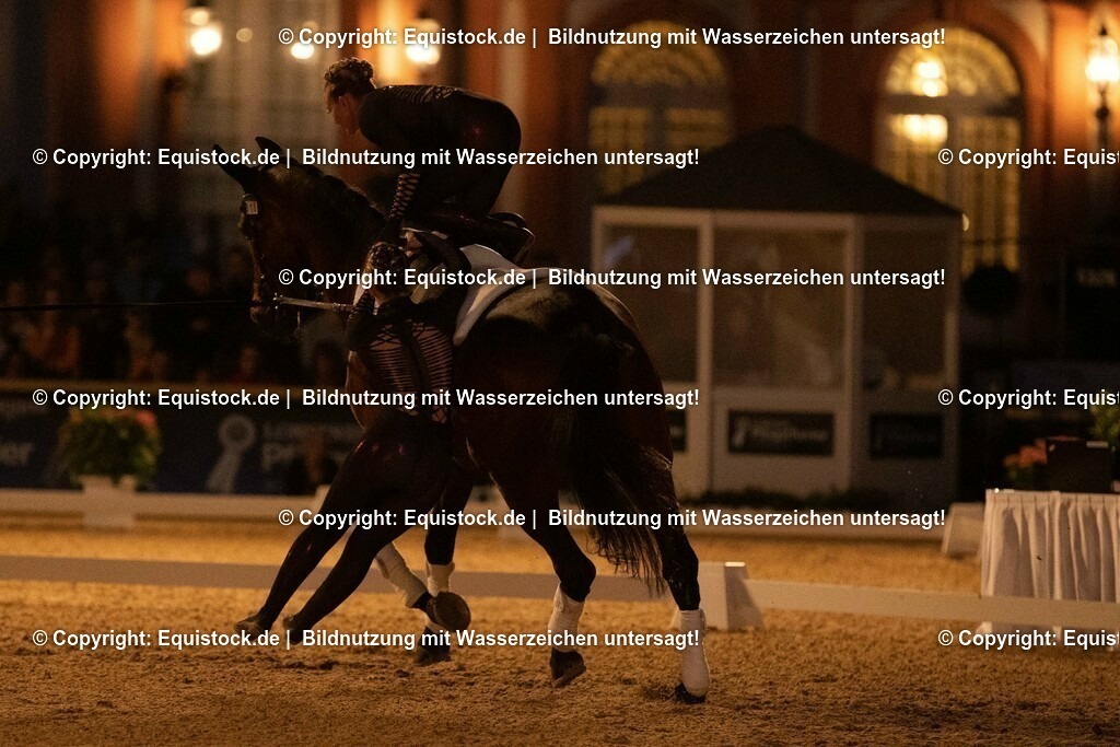 20230527_Voltigieren_NASPA_Flutlicht_0792 | equistock