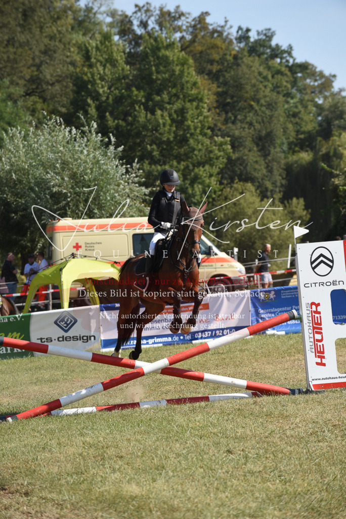 DSC_6123 | Pferde- und Turnierfotografie in Westsachsen. Pferdeportraits, Auftragszeichnungen und intuitive Kunst.