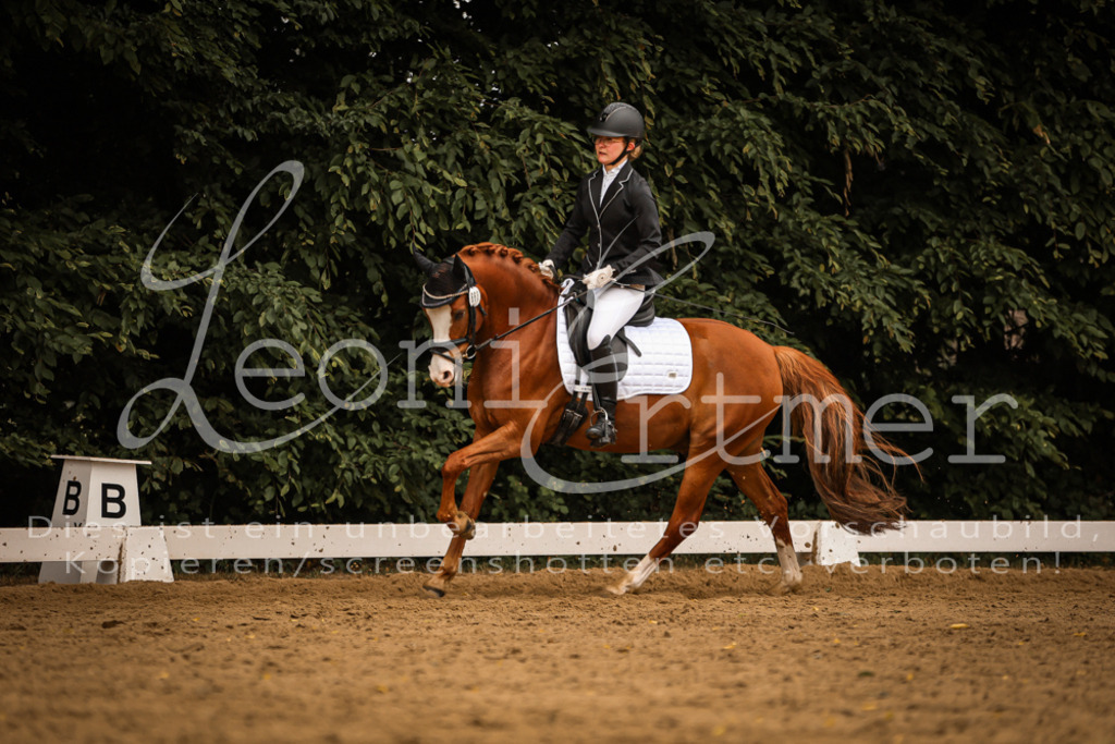 DoDrE00499 | Leoni Ertmer Photography - Realisiert mit Pictrs.com