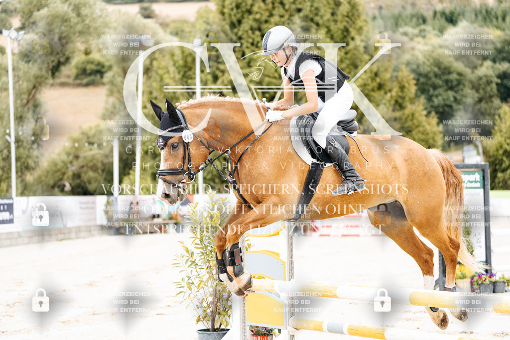 CK907823 | Turnierfotografie Pferdefotografie Trier Rheinland-Pfalz Pferdesport Reitsport Tierfotografie Sportfotografie Pferdevideo Pferdevideografie Equestrianvideography equestrianphotography  - Realisiert mit Pictrs.com