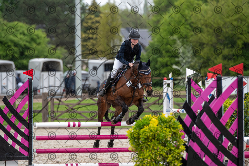 KPT_7515 | andre_photographic