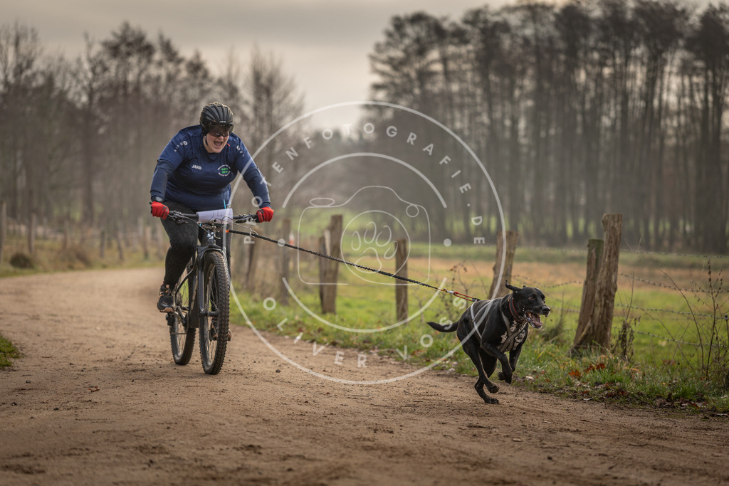 Pfotenfotografie_DV3A2031 | Hundefotografie, Tierfotograf, Pfotenfotografie, Fotoshooting Hund, Hunde Portrait, Hundesport, Hundeportraits, Heideshooting, Hunde, Sportfotograf, Hundefotograf, Turnierhundsport, THS,  - Realisiert mit Pictrs.com