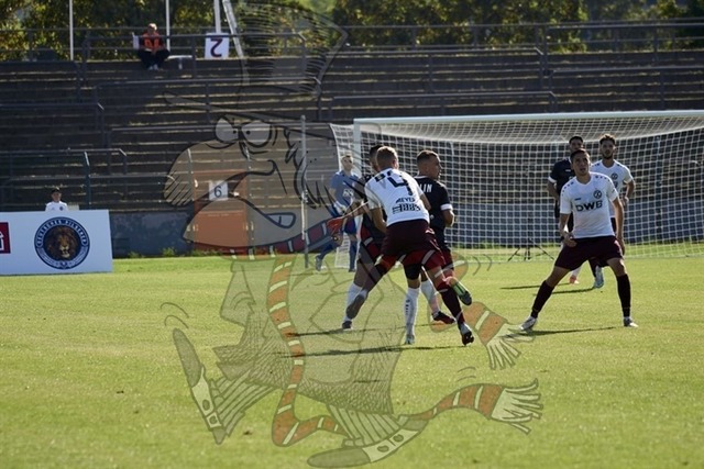 BFC Dynamo vs. Berliner AK 07 064 | mythos-online-redaktion