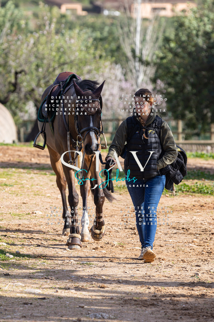 IMG_5692 | s-jay-photography - Realisiert mit Pictrs.com