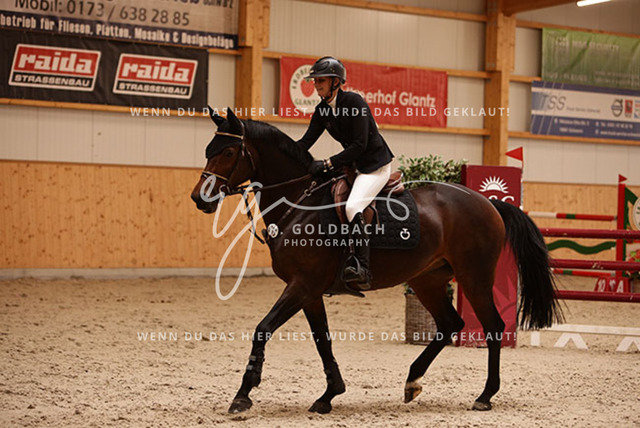 1J2A6432Annkathrin Heydenreich_ African Princess_ Kn009_ Glantz_ Hohen Wieschendorf | Foto- und Videografie für alles rund ums Pferd. Hochwertige Bilder und Videos vom Spring- und Dressurreiten, Voltigieren & mehr. Jetzt aktuelle Veranstaltungen und Preise im Shop ansehen. - Realisiert mit Pictrs.com