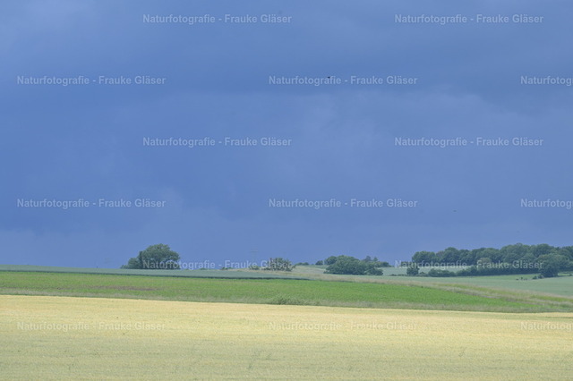Herbst in Bornum (4) | Naturfotografie Frauke Gläser - Realisiert mit Pictrs.com