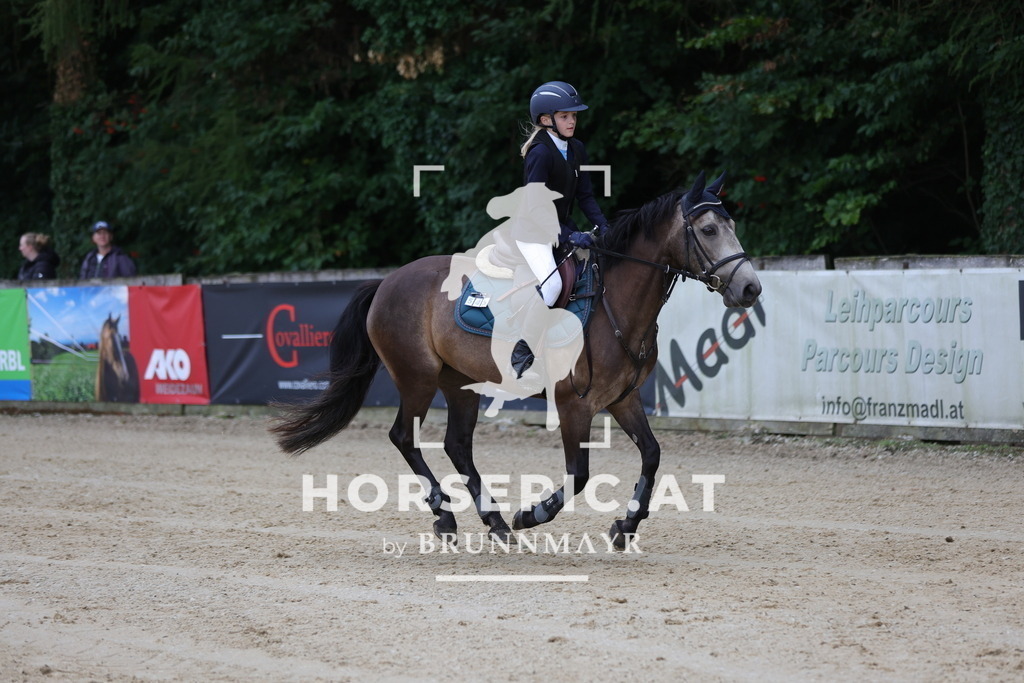 0P6A7095 | Willkommen bei Brunnmayr - Design & Fotografie – Ihrem Spezialisten für Reitturniere und Pferdeveranstaltungen in Oberösterreich, Salzburg und Bayern! Seit über 17 Jahren sind wir leidenschaftlich dabei.