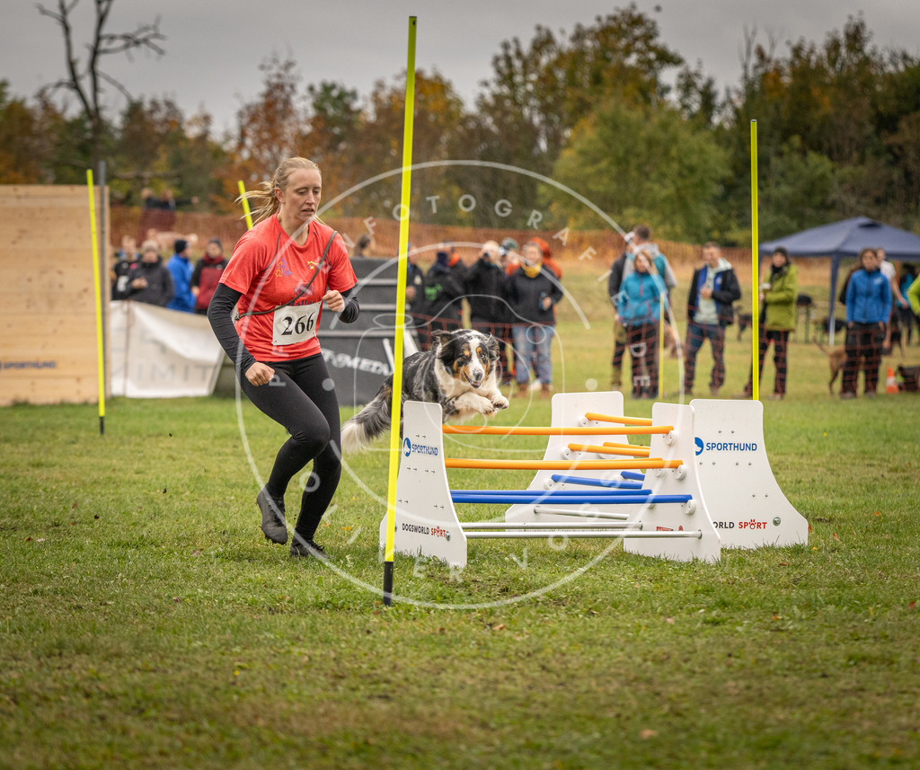 Pfotenfotografie_DV3A7102 | Hundefotografie, Tierfotograf, Pfotenfotografie, Fotoshooting Hund, Hunde Portrait, Hundesport, Hundeportraits, Heideshooting, Hunde, Sportfotograf, Hundefotograf, Turnierhundsport, THS,  - Realisiert mit Pictrs.com