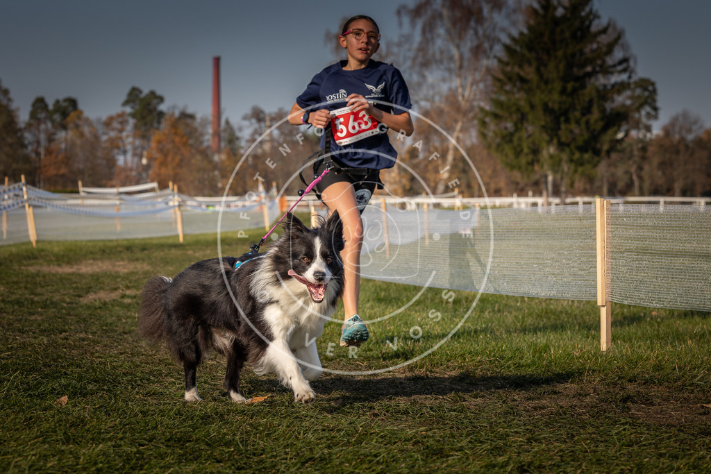 CaniXpix_0L8A9410 | Hundefotografie, Tierfotograf, Pfotenfotografie, Fotoshooting Hund, Hunde Portrait, Hundesport, Hundeportraits, Heideshooting, Hunde, Sportfotograf, Hundefotograf, Turnierhundsport, THS,  - Realisiert mit Pictrs.com