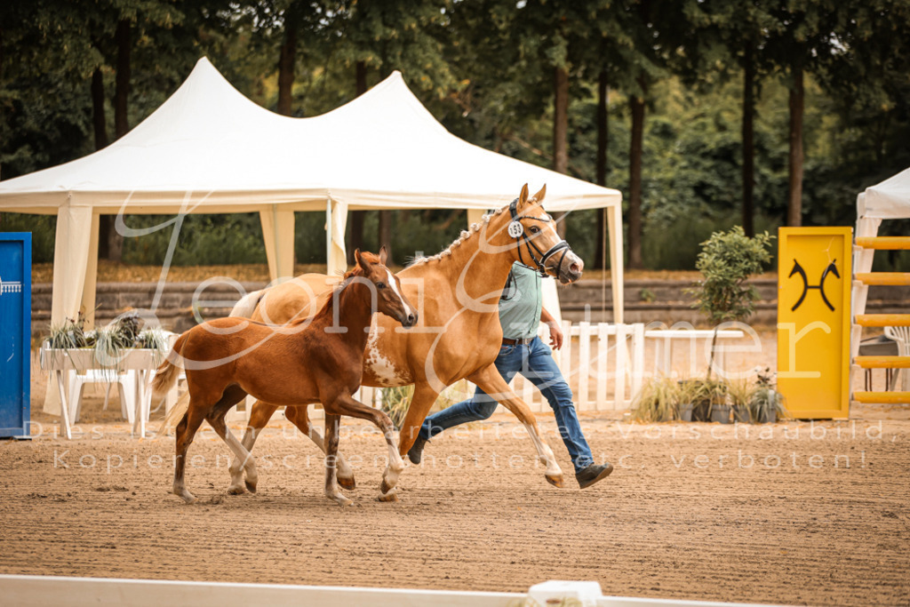 07.So00053 | Leoni Ertmer Photography - Realisiert mit Pictrs.com