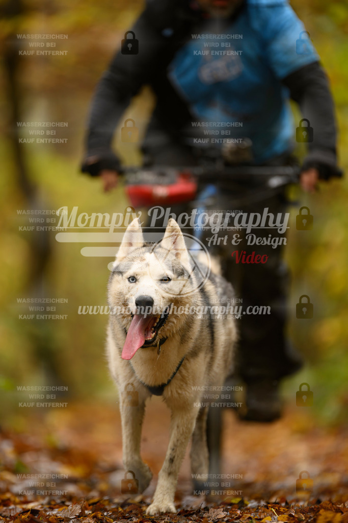 MompixPhotography_CD7S_DI_Bike-61 | mompixphotography