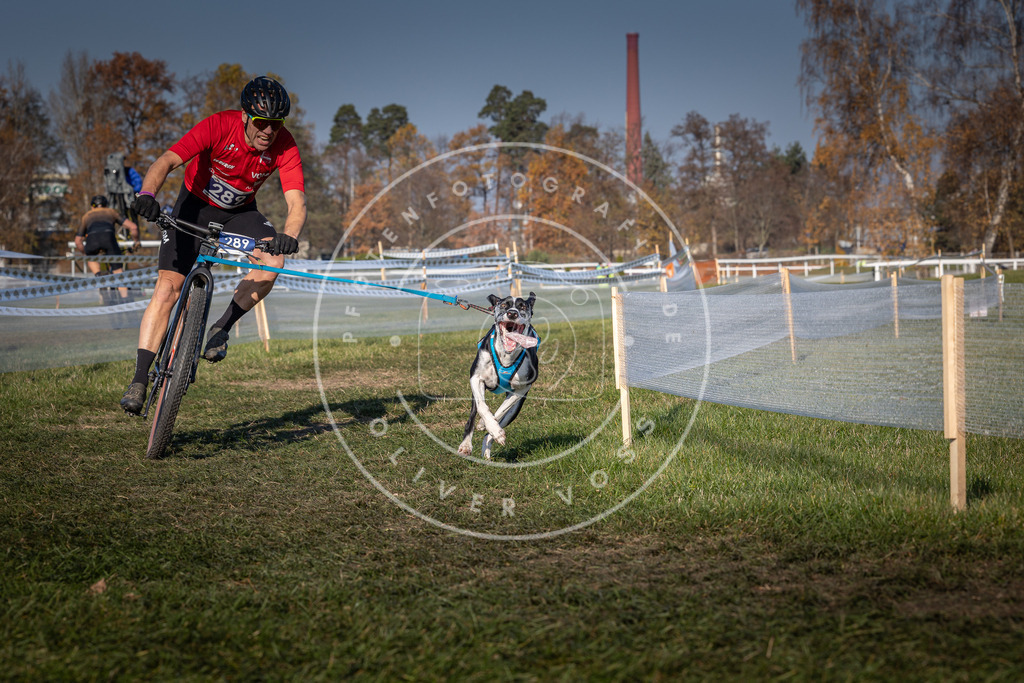 CaniXpix_0L8A6084 | Hundefotografie, Tierfotograf, Pfotenfotografie, Fotoshooting Hund, Hunde Portrait, Hundesport, Hundeportraits, Heideshooting, Hunde, Sportfotograf, Hundefotograf, Turnierhundsport, THS,  - Realisiert mit Pictrs.com