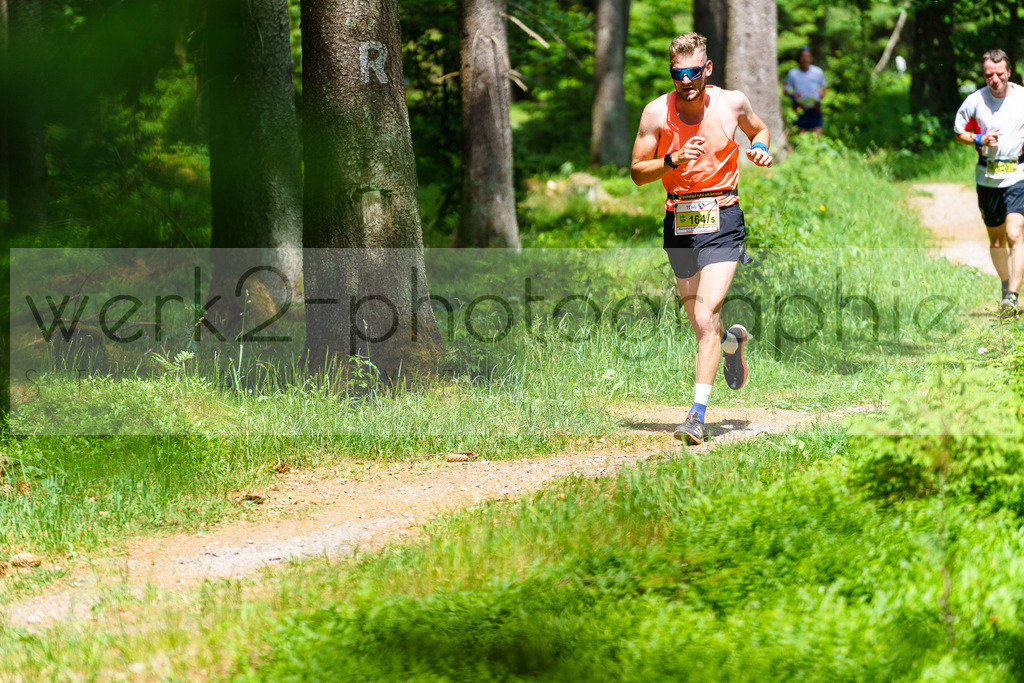 Rennsteig-Staffellauf 2023 | Rennsteig-Staffellauf - Hörschel bis Blankenstein - 17. Juni 2023