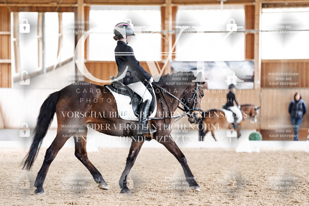 CK901339 | Turnierfotografie Pferdefotografie Trier Rheinland-Pfalz Pferdesport Reitsport Tierfotografie Sportfotografie Pferdevideo Pferdevideografie Equestrianvideography equestrianphotography  - Realisiert mit Pictrs.com