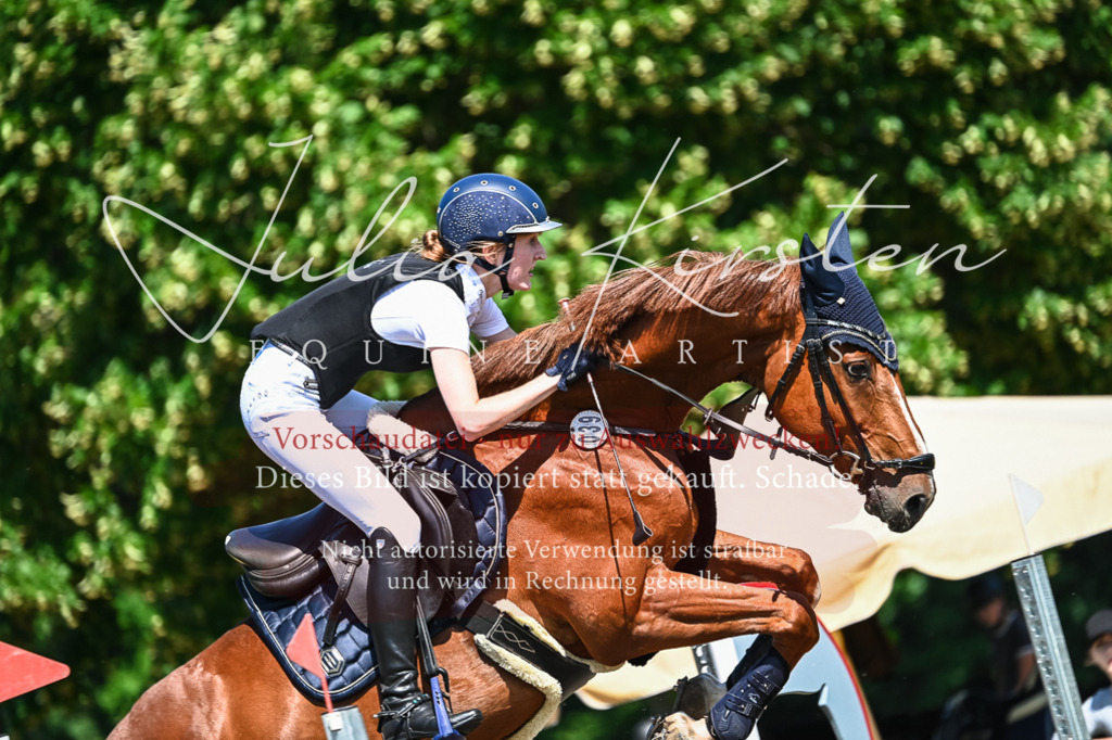 DSC_1191 | Pferde- und Turnierfotografie in Westsachsen. Pferdeportraits, Auftragszeichnungen und intuitive Kunst.