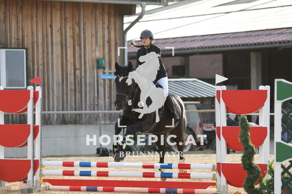 0P6A8880 | Willkommen bei Brunnmayr - Design & Fotografie – Ihrem Spezialisten für Reitturniere und Pferdeveranstaltungen in Oberösterreich, Salzburg und Bayern! Seit über 17 Jahren sind wir leidenschaftlich dabei.