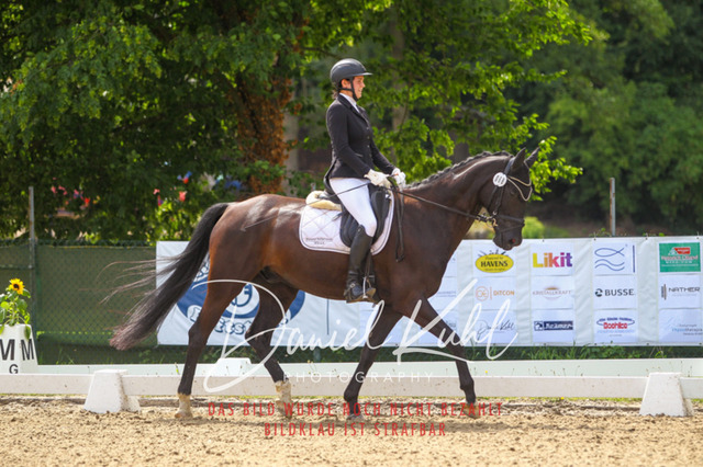 DKP42022 | Turniersportfotografie; Pferdefotografie; Dressurfotografie