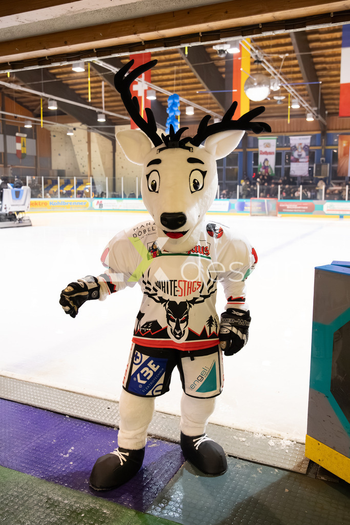 Eishockey I Herren I Saison 2025-2026 I Regio League | 3. Liga Regular Season Gr. 1 ZS | Men I 17. Spieltag I EHC Herrischried - HC Wohlen Freiamt I 01.02.2026 | Hochwertige Sportfotos kaufen & lizenzieren für Medien, Vereine, Agenturen & Sportler:innen. Entdecke professionelle Sportfotografie im Bildshop von Alexander Franzen. - Realisiert mit Pictrs.com