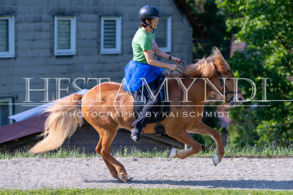 KAI07066 | Ihr sucht einen Fotografen für eure nächste OSI? Ich begleite auch euer Turnier für Islandpferde fotografisch.  - Realisiert mit Pictrs.com