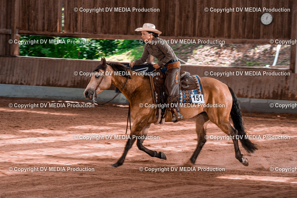 NE100643 | dv-media-shop - Realisiert mit Pictrs.com