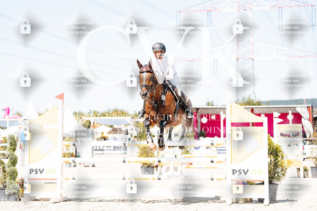 CK909494 | Turnierfotografie Pferdefotografie Trier Rheinland-Pfalz Pferdesport Reitsport Tierfotografie Sportfotografie Pferdevideo Pferdevideografie Equestrianvideography equestrianphotography  - Realisiert mit Pictrs.com