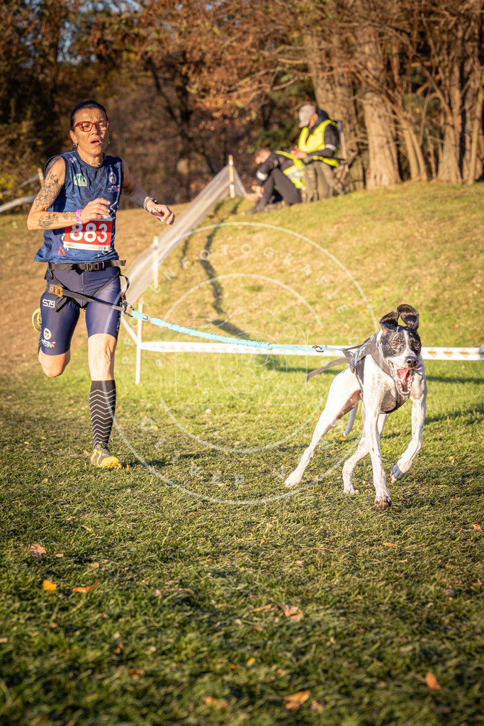 CaniXpix_0L8A1193 | Hundefotografie, Tierfotograf, Pfotenfotografie, Fotoshooting Hund, Hunde Portrait, Hundesport, Hundeportraits, Heideshooting, Hunde, Sportfotograf, Hundefotograf, Turnierhundsport, THS,  - Realisiert mit Pictrs.com