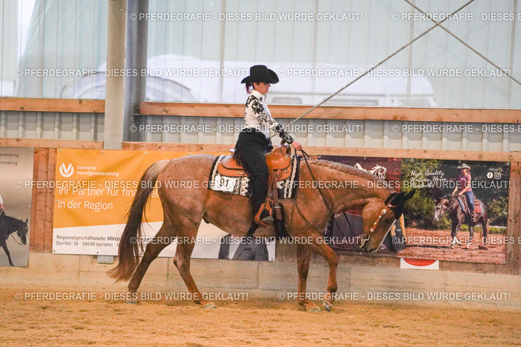 DSC08635 | Pferdegrafie