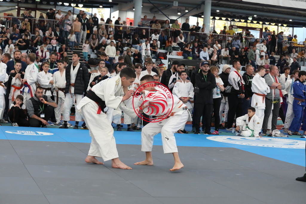 1J7A2173 | Fotos vom Adler Cup - Pictures from Adler Cup

Hier findet Ihr alle Eindrücke und großen Momente der Adler Cup Wochenenden. Here you will find all impressions and great moments of the Adler Cup weekends. - Realisiert mit Pictrs.com