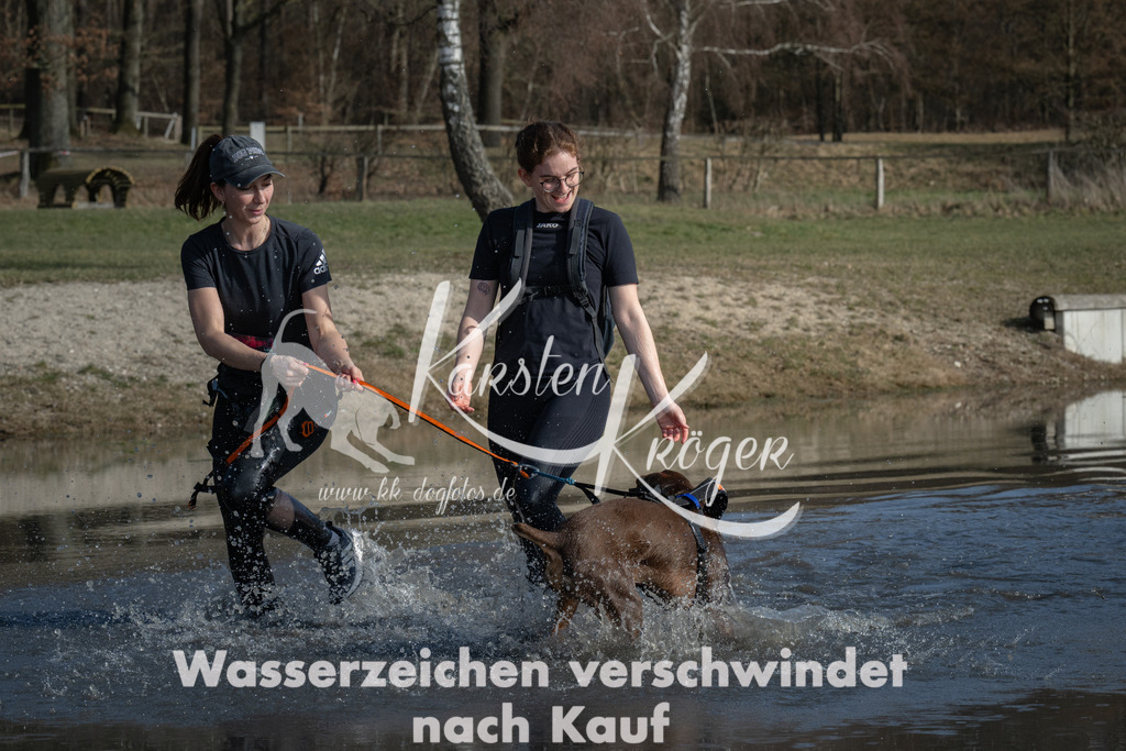 1418_ZZ90151 | kk-dogfotos