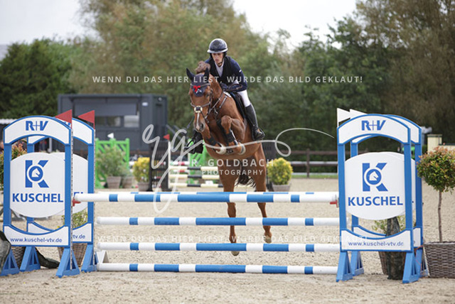 1J2A9608Christin Schulz_ Czyro AS_ Kn348_ Havekost | Foto- und Videografie für alles rund ums Pferd. Hochwertige Bilder und Videos vom Spring- und Dressurreiten, Voltigieren & mehr. Jetzt aktuelle Veranstaltungen und Preise im Shop ansehen. - Realisiert mit Pictrs.com