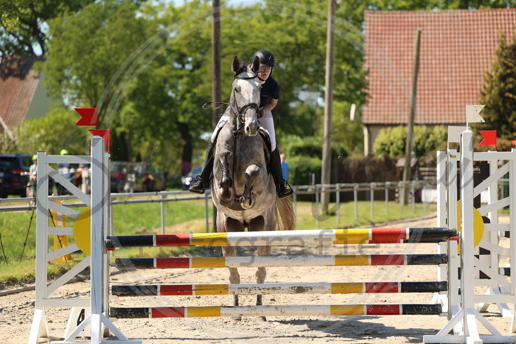 994A5785 | sabrinanicolaifotografie - Realisiert mit Pictrs.com